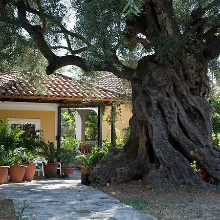 فندق Christina 3*