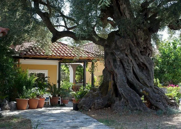 Hotel Christina 3*